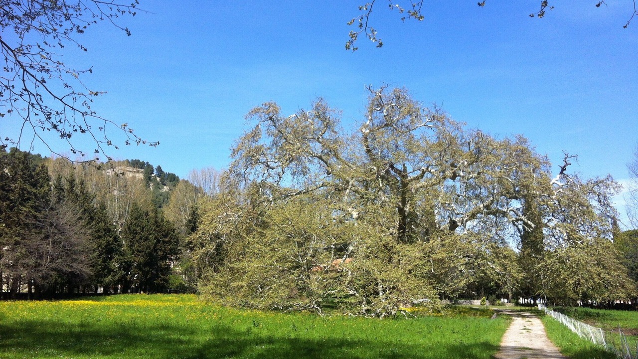 Photo of Outdoor in Lamanon