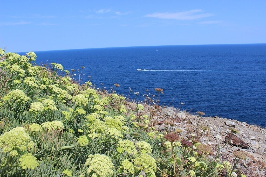 Photo of Others in Saint-Martin