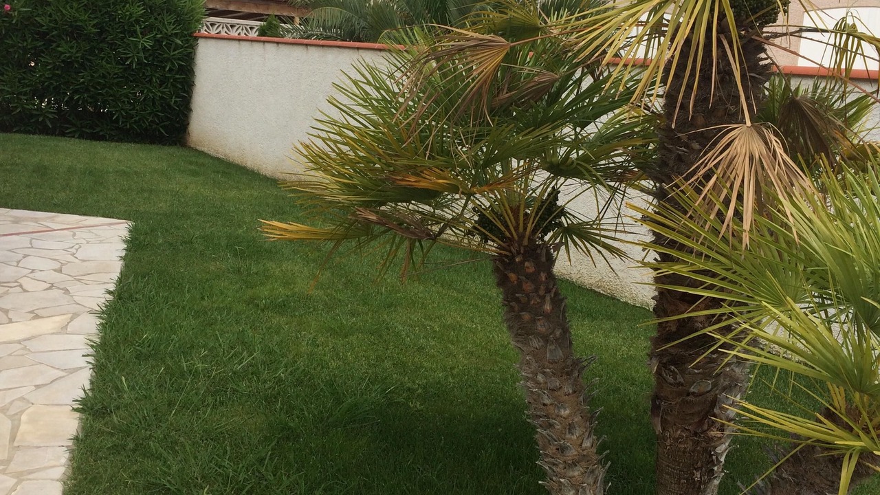 Photo of Outdoor in Alenya