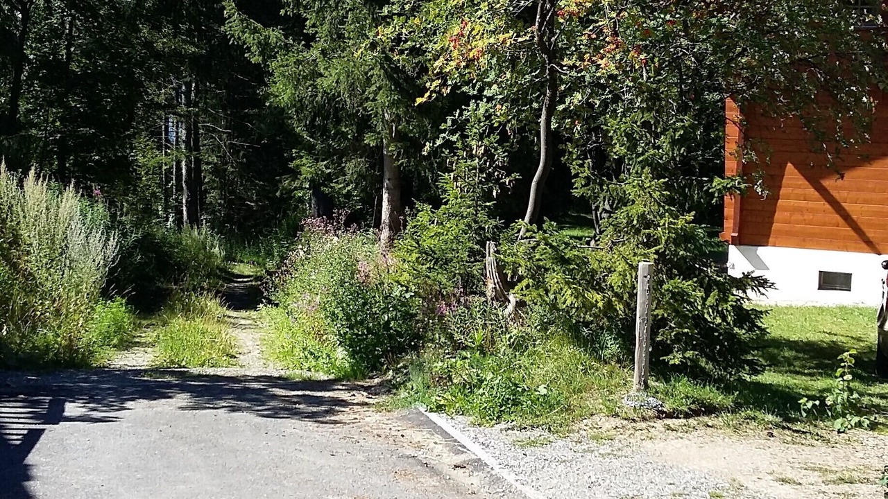 Photo of Outdoor in Lens