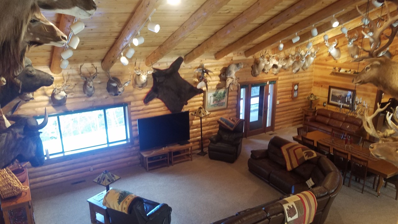 Photo of Others in Emigrant