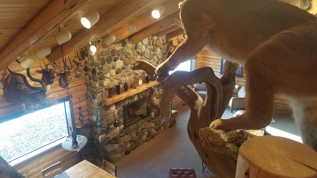 Photo of Others in Emigrant