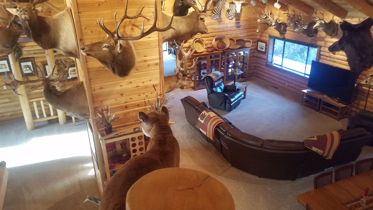 Photo of Others in Emigrant