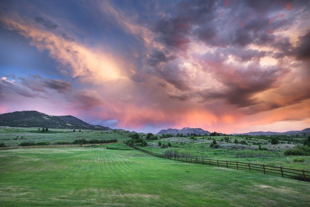 Photo of Others in Emigrant