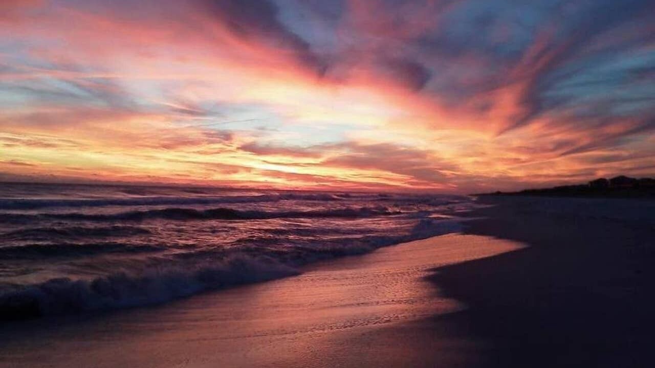 Photo of Others in Pensacola Beach