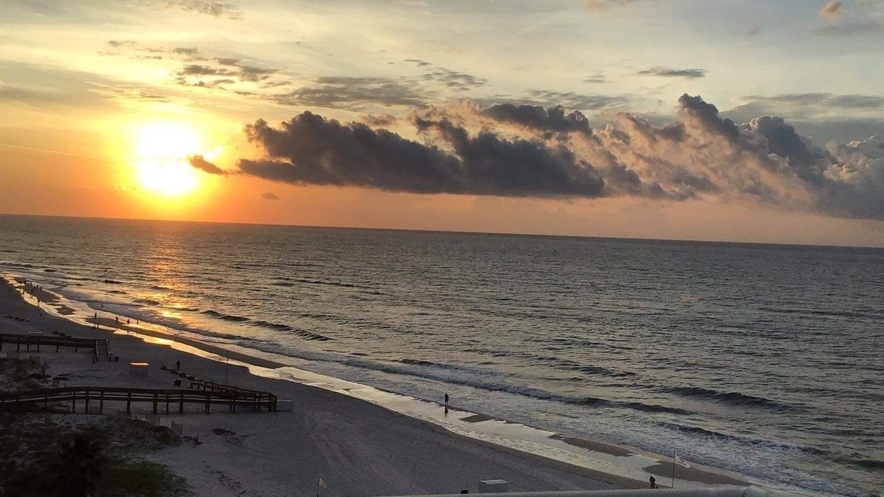 Photo of Others in Orange Beach