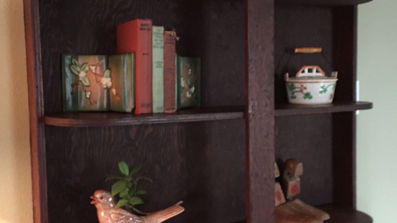 Photo of Others in Springfield