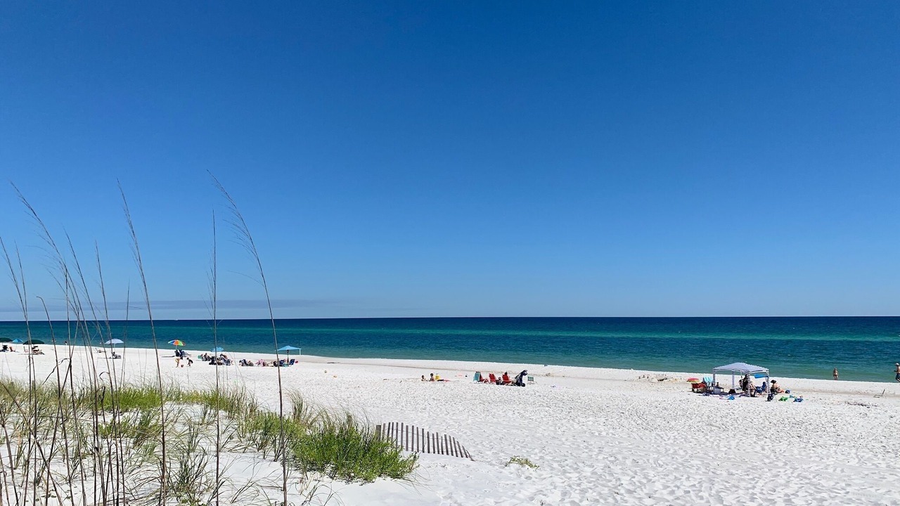 Photo of Others in Pensacola Beach