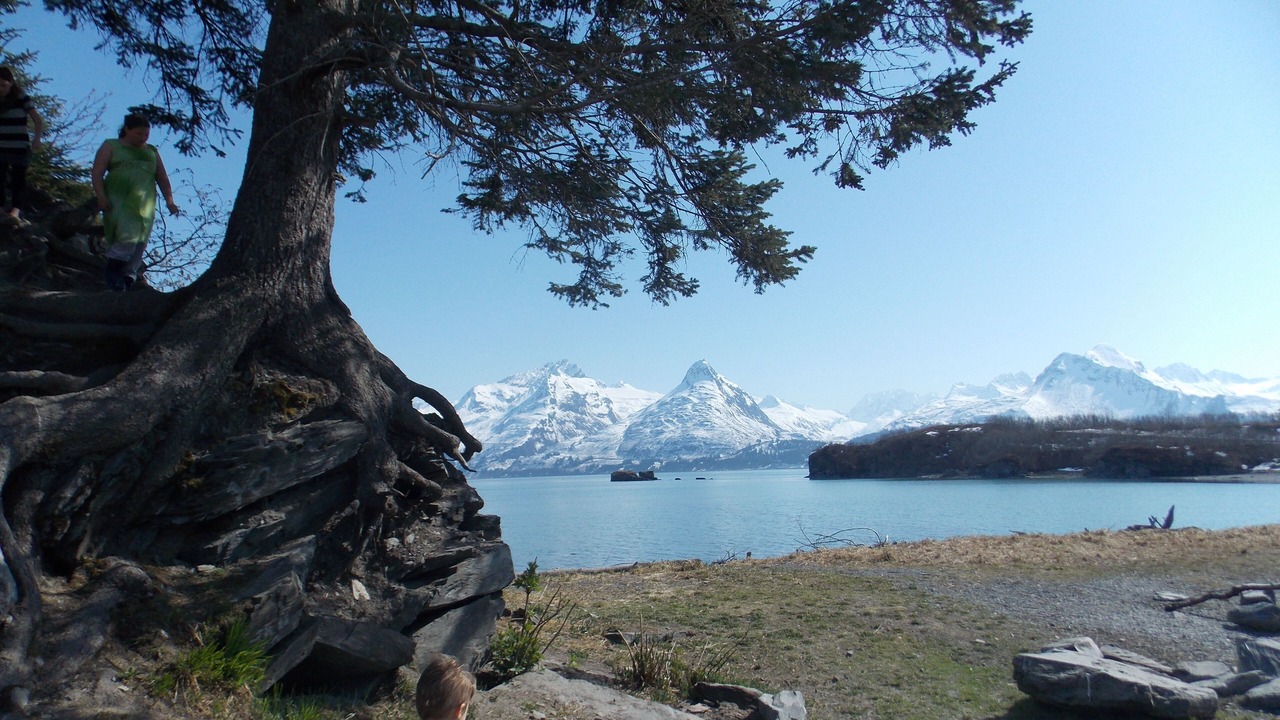 Photo of Outdoor in Valdez