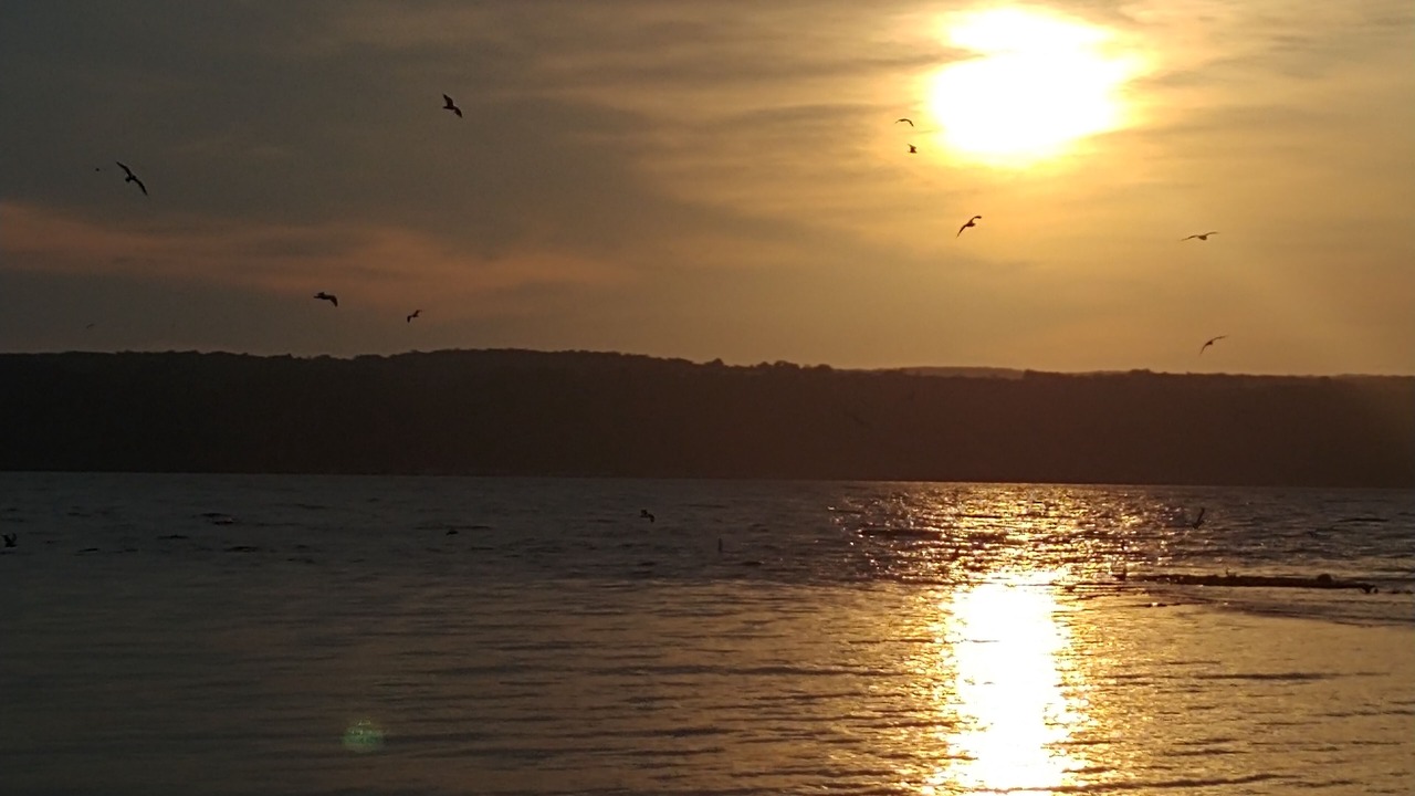 Photo of Others in Ovid