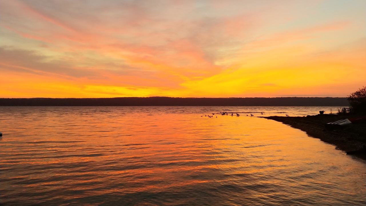 Photo of Others in Ovid