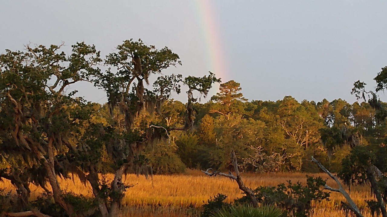 Photo of Others in Edisto Island