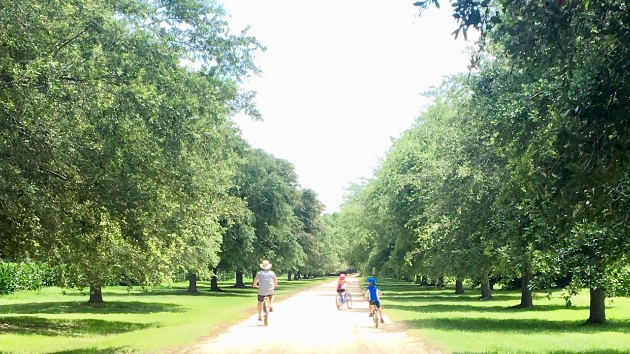 Photo of Others in Edisto Island