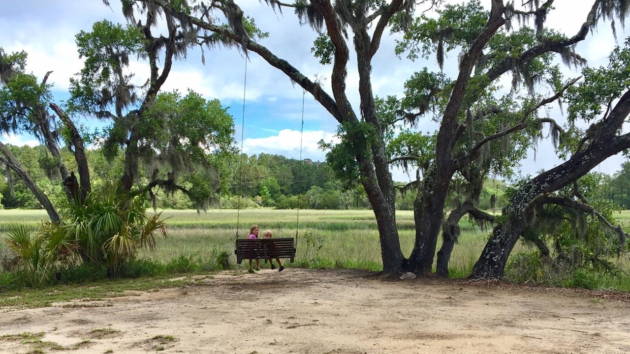 Photo of Others in Edisto Island