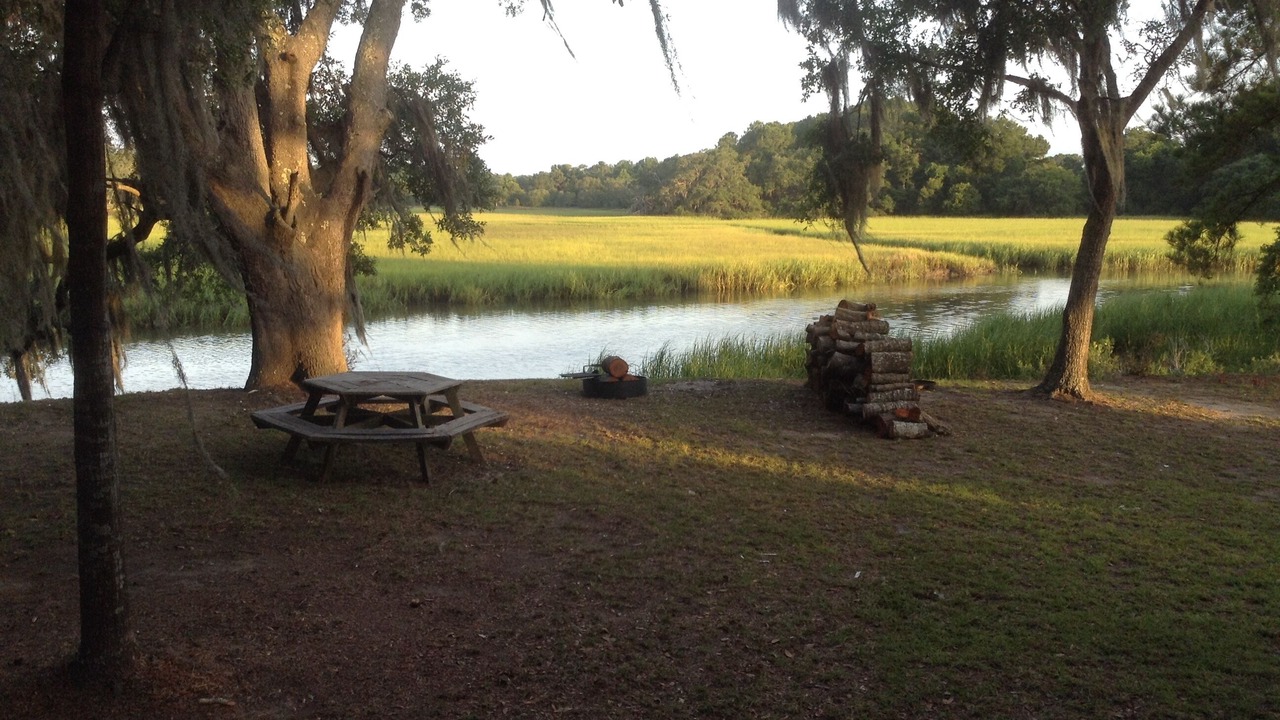 Photo of Outdoor in Edisto Island