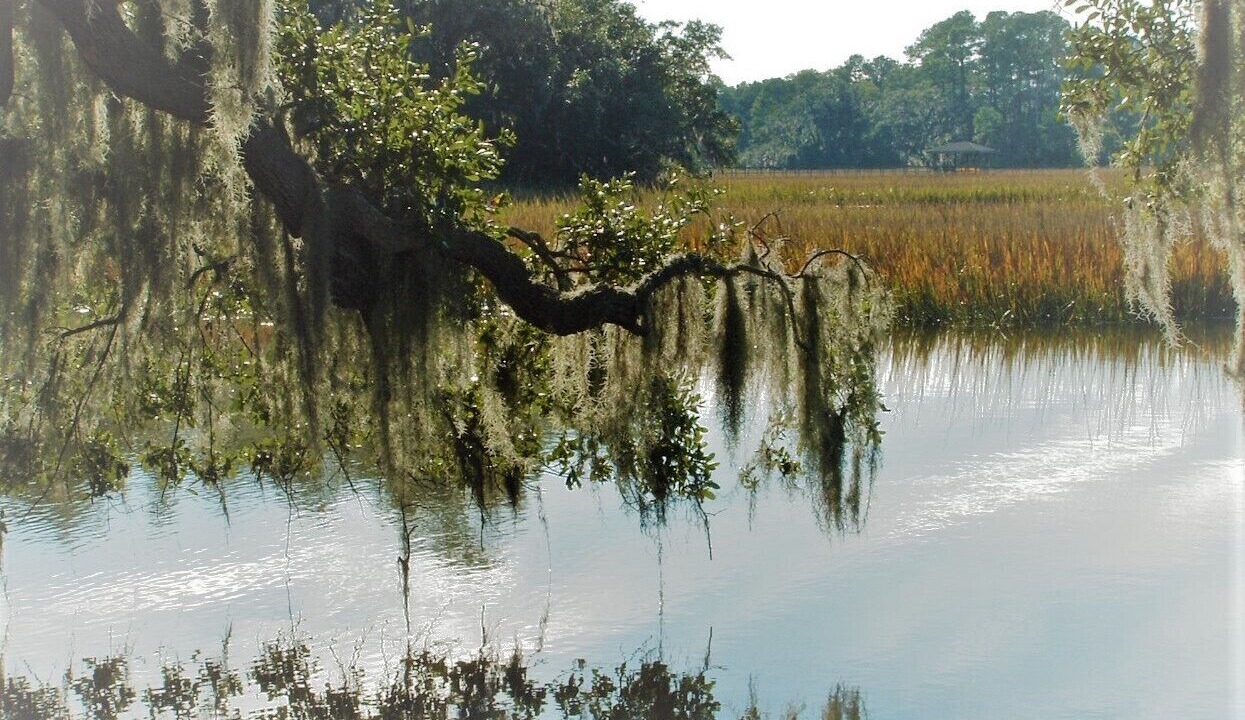 Photo of Others in Edisto Island