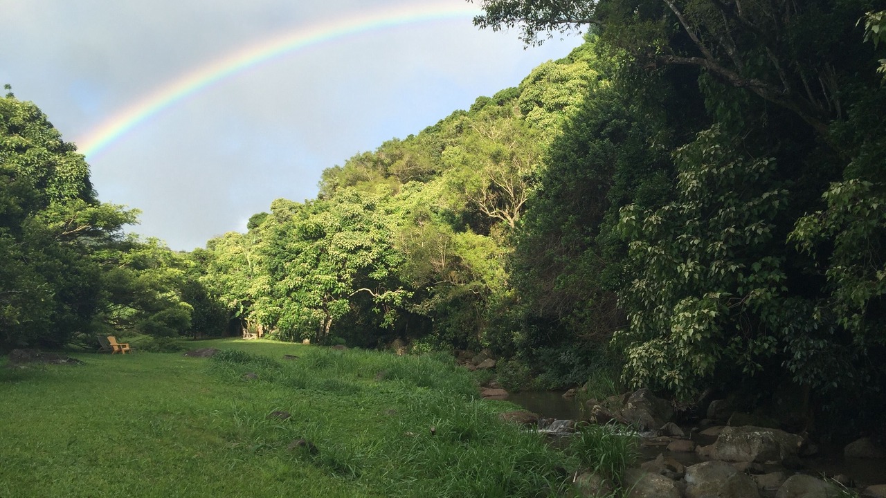 Photo of Others in Makawao