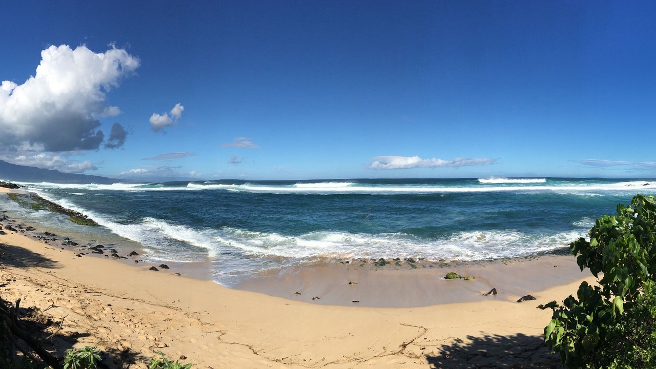 Photo of Others in Makawao