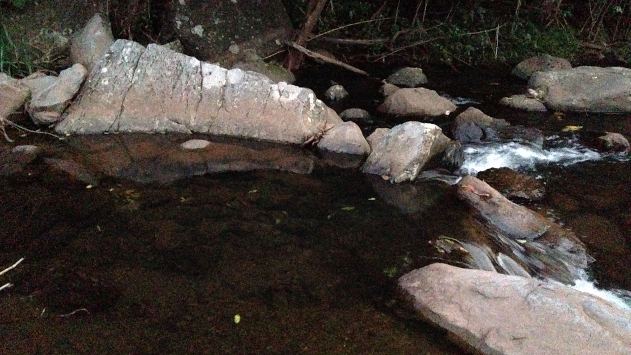 Photo of Others in Makawao