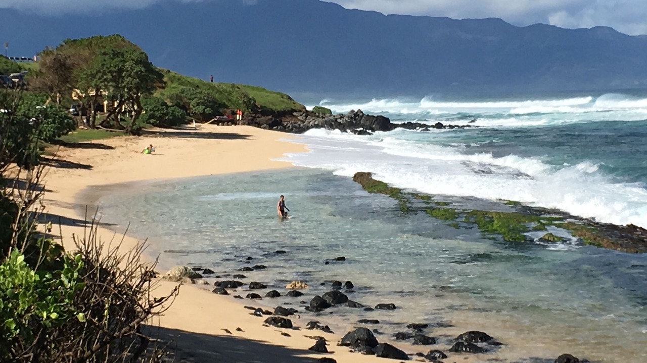 Photo of Others in Makawao