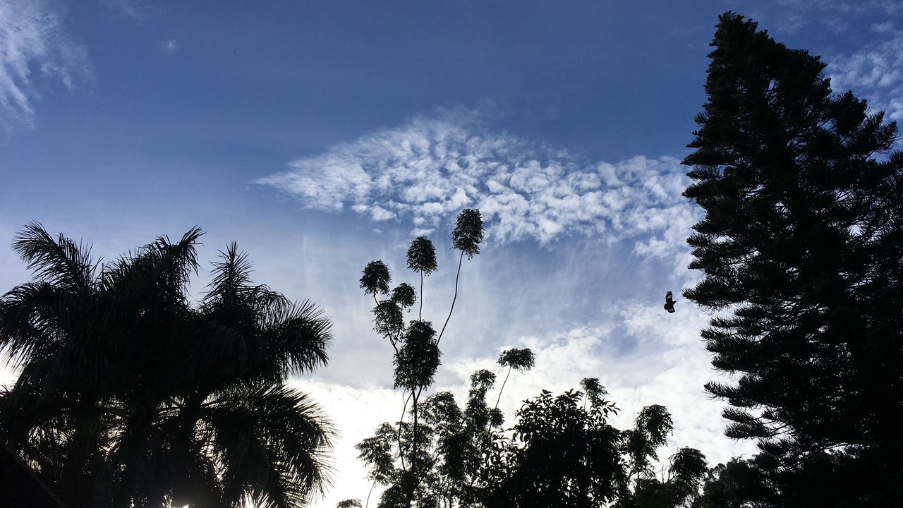 Photo of Others in Makawao