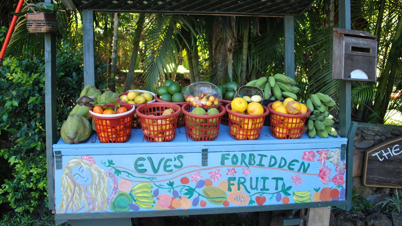 Photo of Outdoor in Makawao