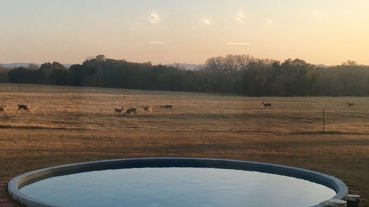 Photo of Others in Fredericksburg