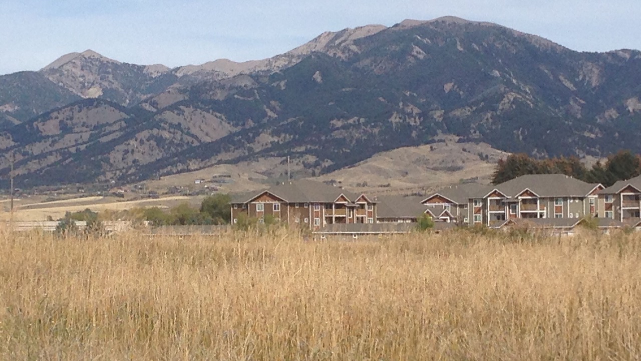 Photo of Others in Bozeman