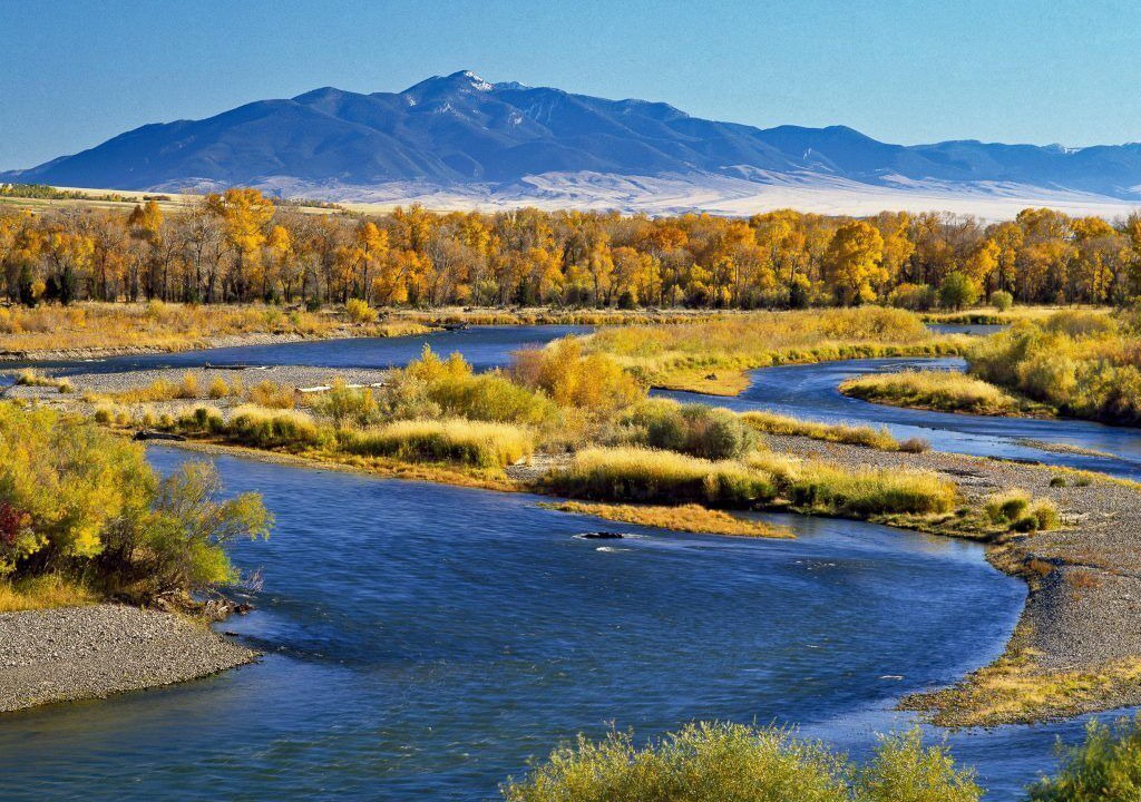 Photo of Others in Bozeman