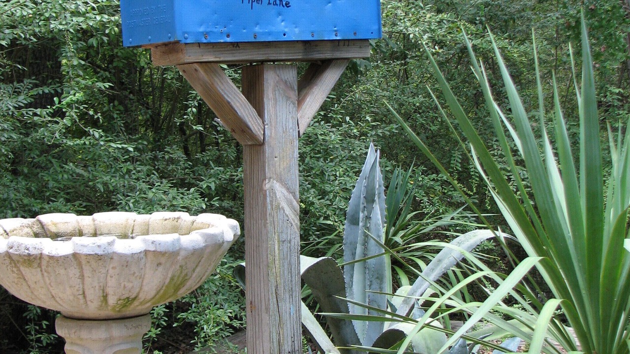 Photo of Outdoor in Canyon Creek