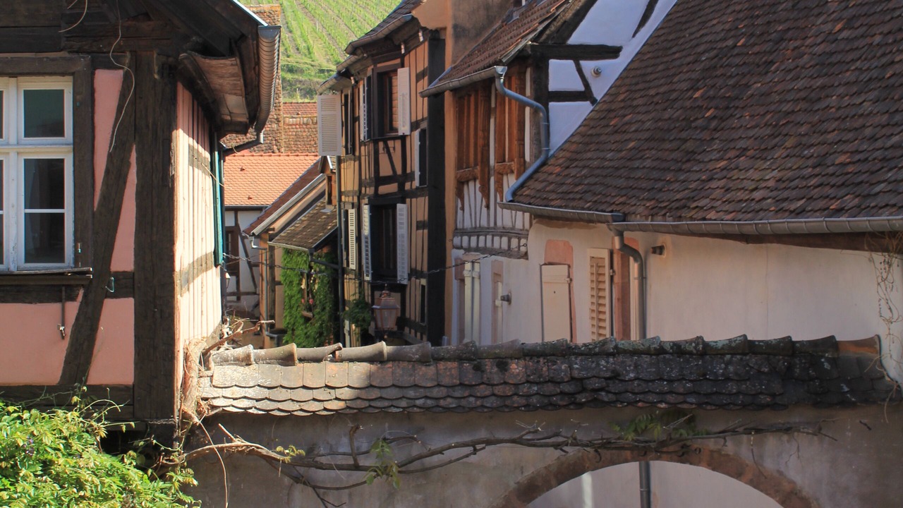 Photo of Outdoor in Riquewihr