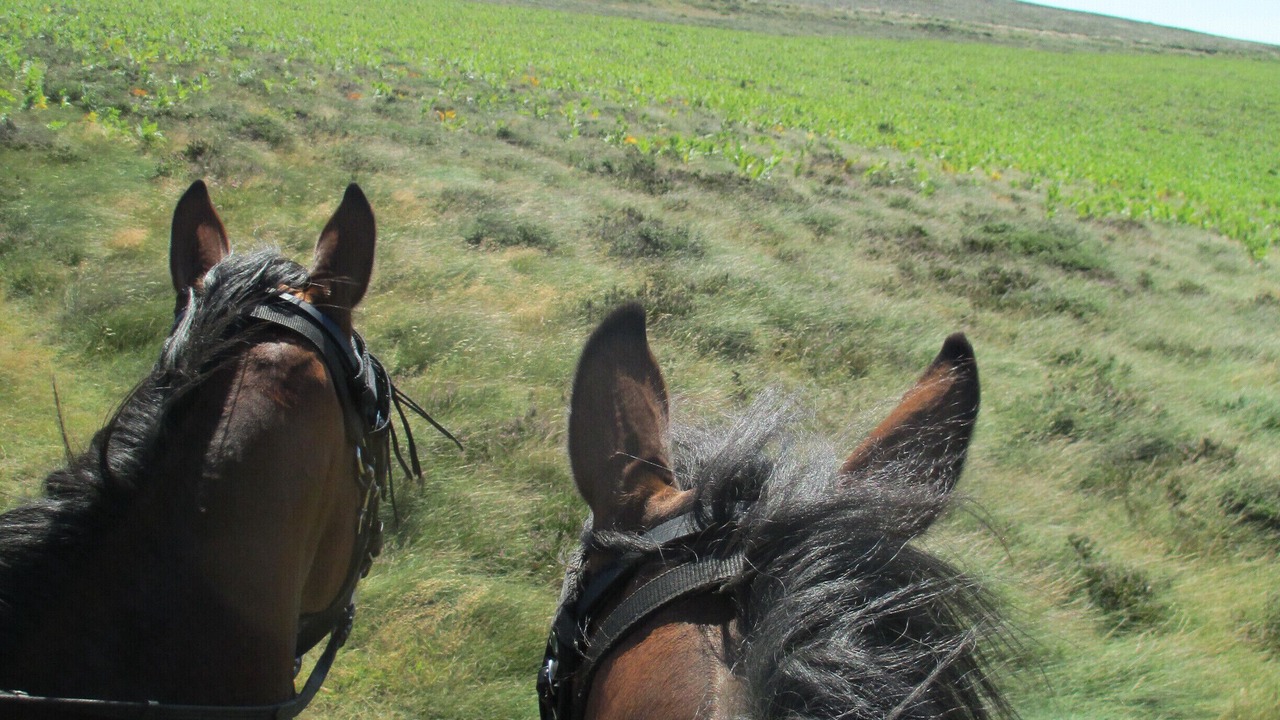 Photo of Outdoor in Cuxac-Cabardes