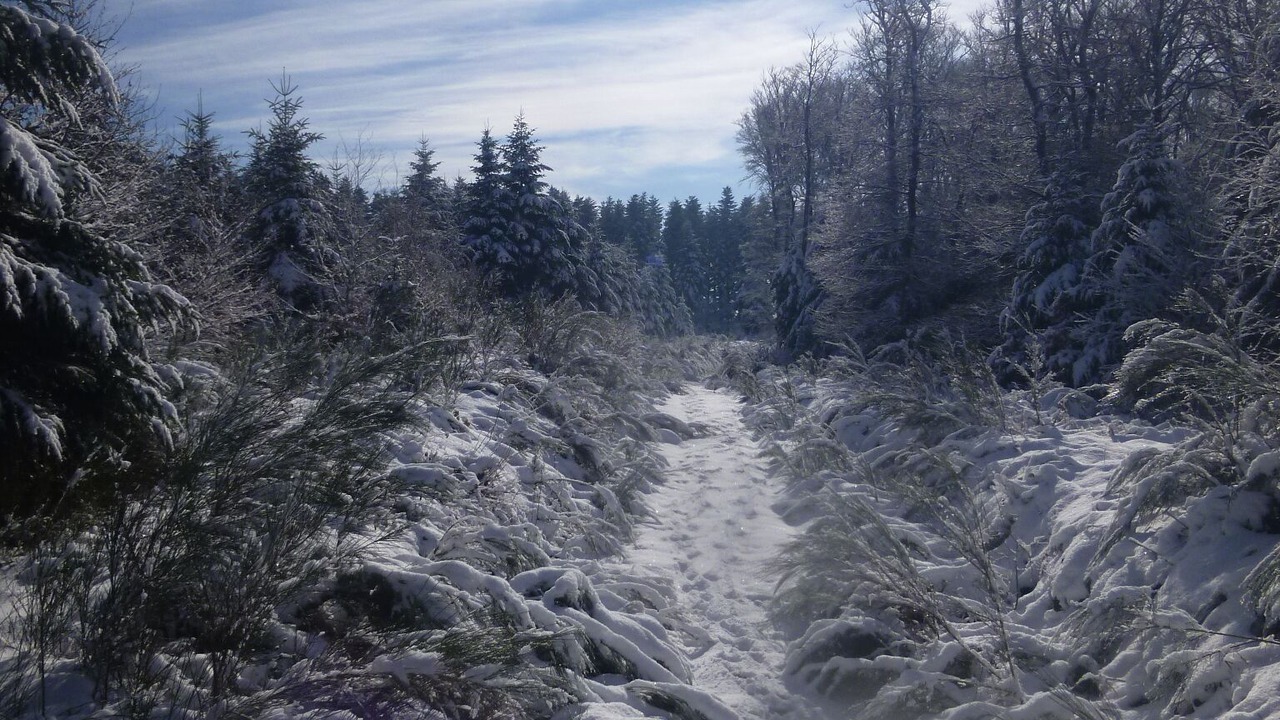 Photo of Outdoor in Cuxac-Cabardes