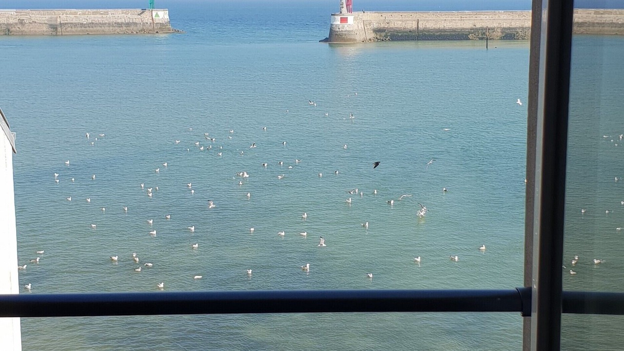 Photo of Others in Port-en-Bessin-Huppain