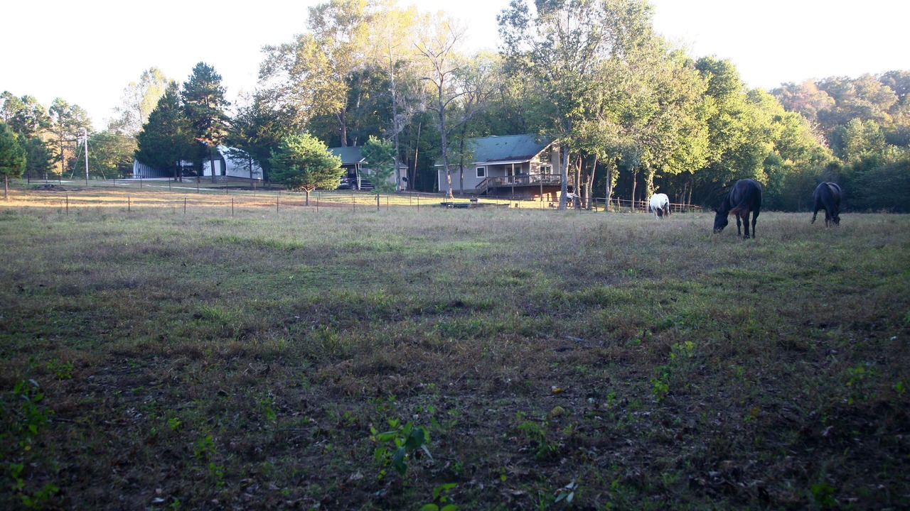 Photo of Bedroom in Huntsville