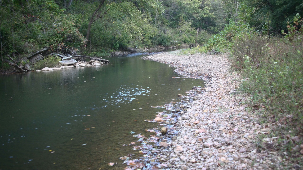 Photo of Others in Huntsville