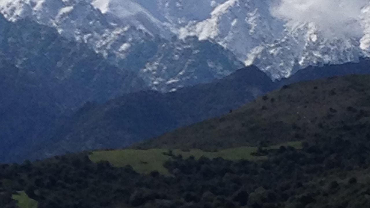 Photo of Others in Tralonca