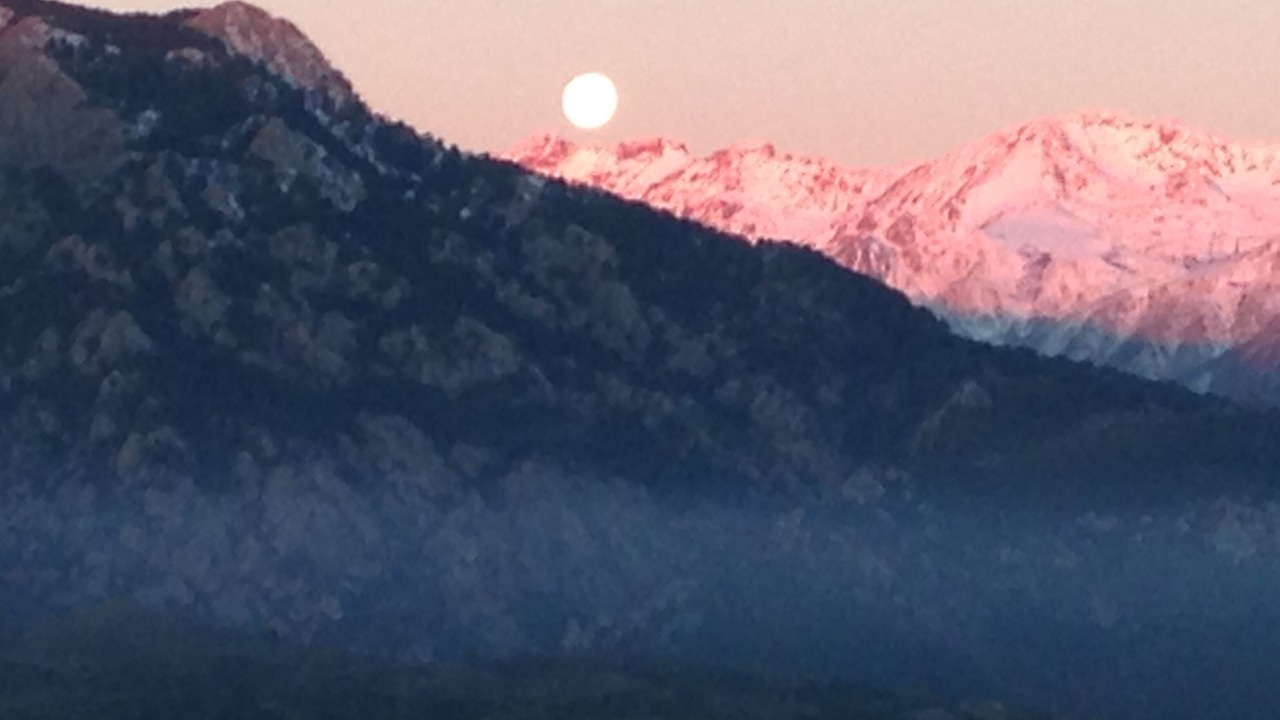 Photo of Others in Tralonca