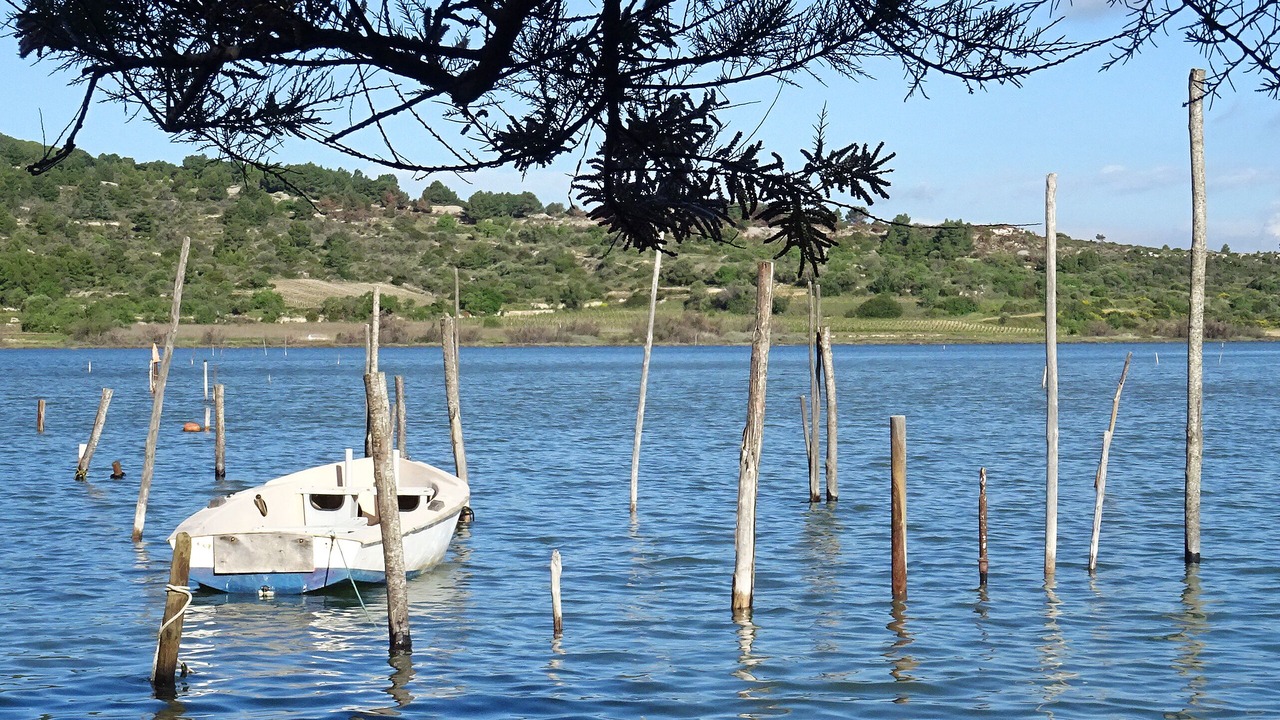 Photo of Outdoor in Bages