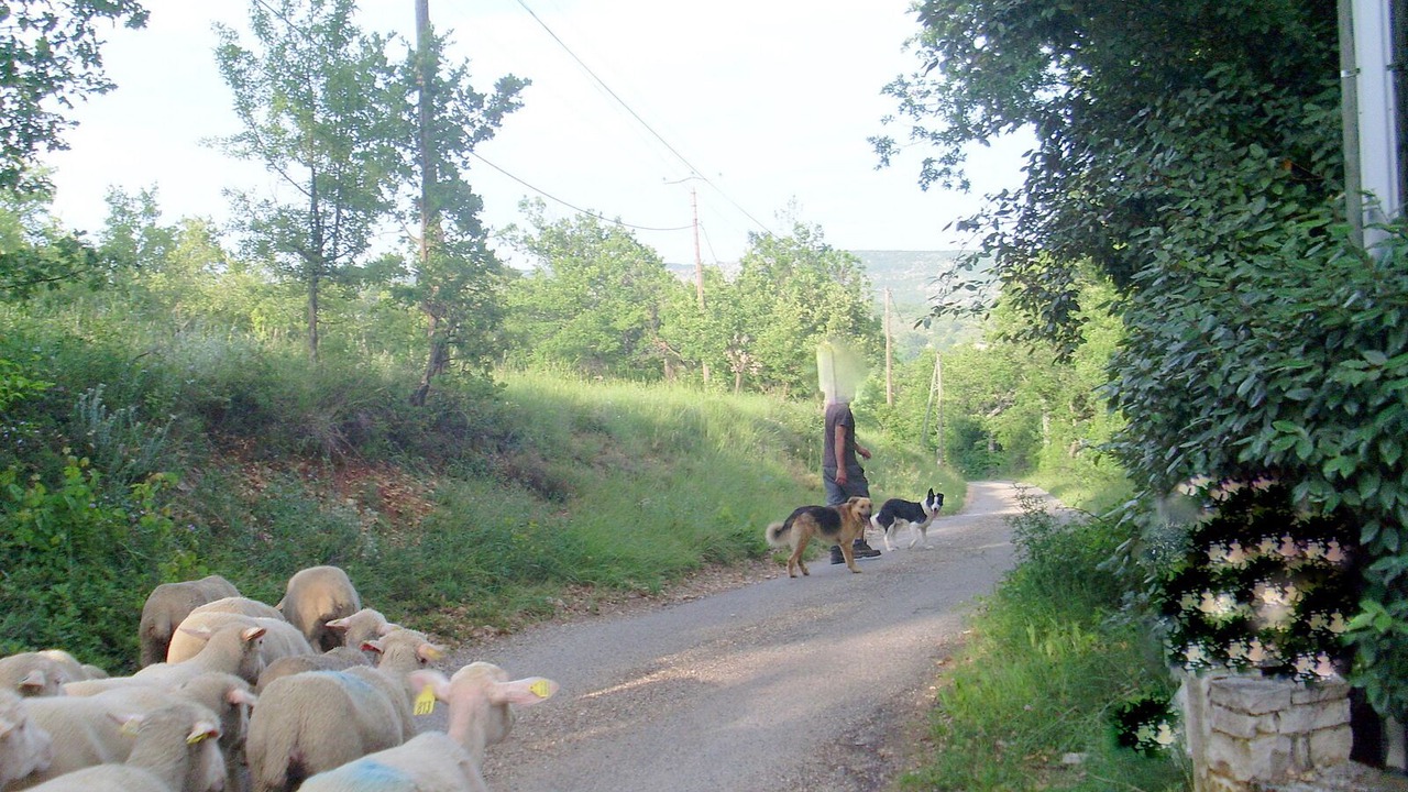 Photo of Outdoor in Vacheres