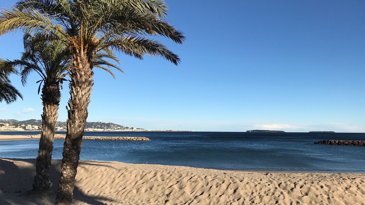 Photo of Others in La Bocca