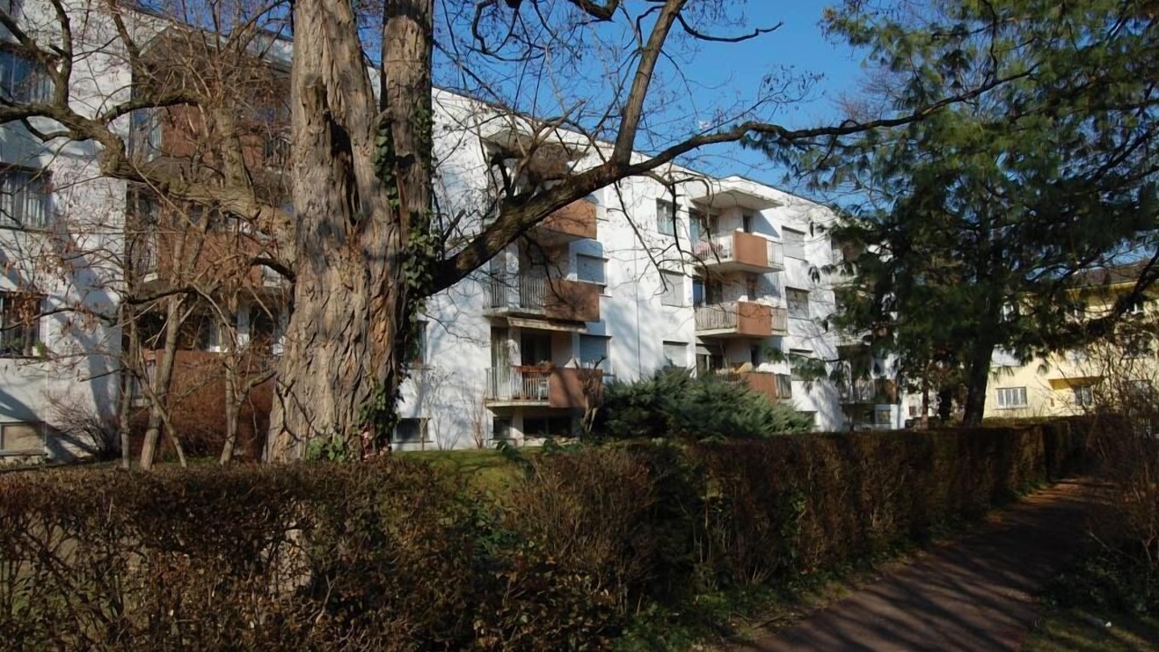 Photo of Others in Colmar