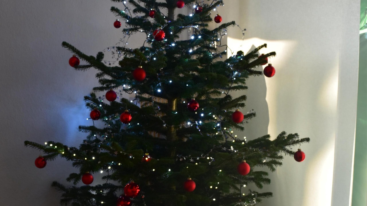 Photo of Others in Colmar