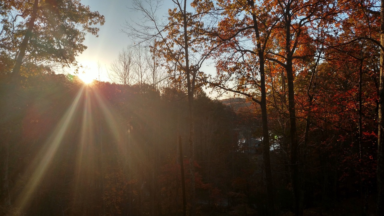 Photo of Outdoor in Lake Lure