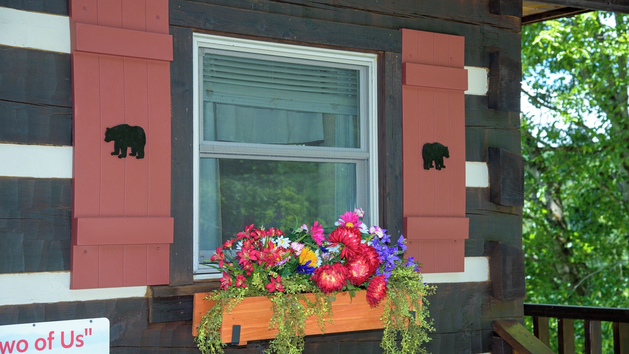 Photo of Outdoor in Gatlinburg