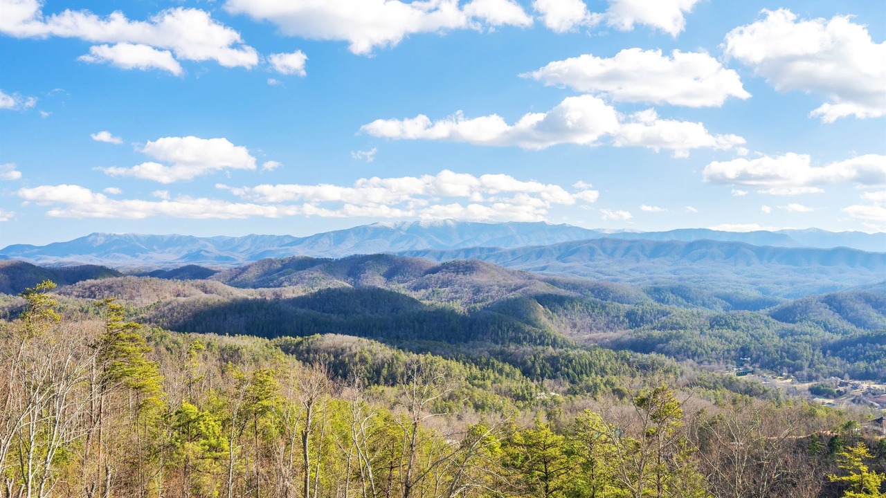 Photo of Others in Sevierville
