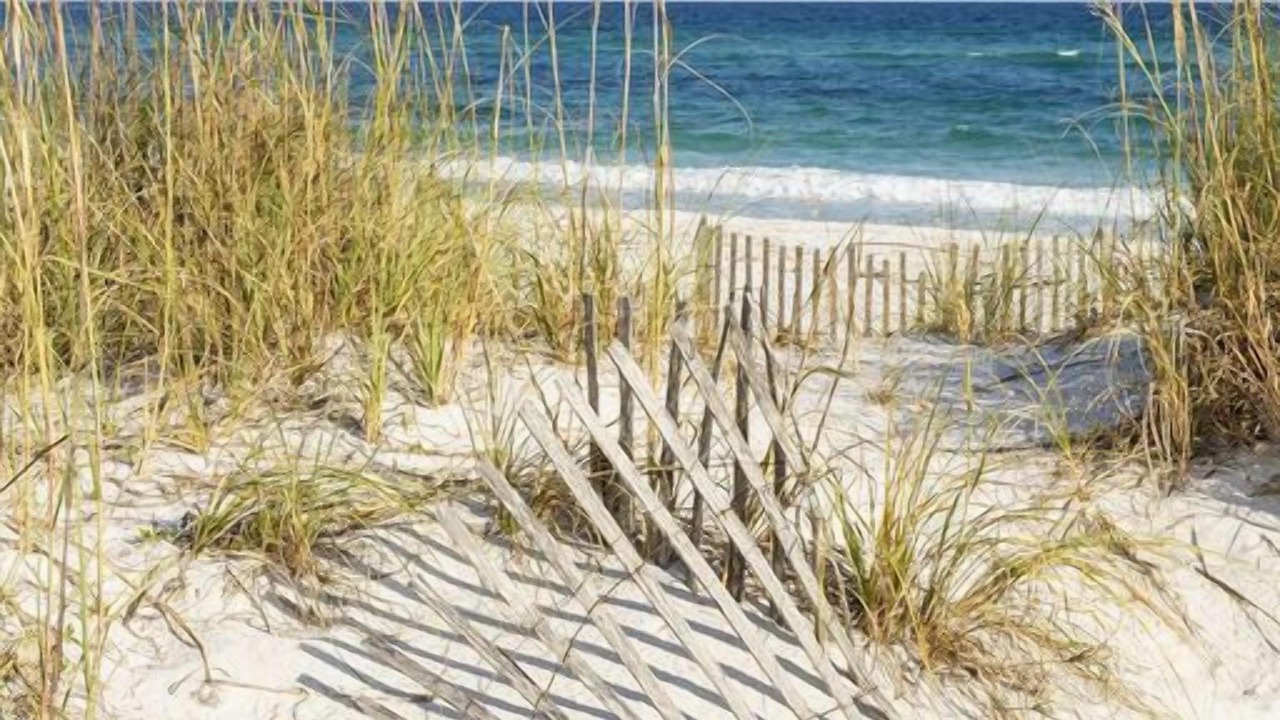 Photo of Others in Biloxi