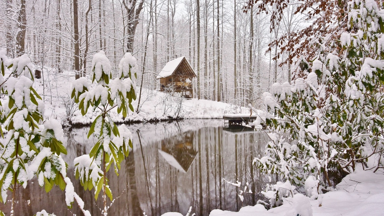 Photo of Others in Candler