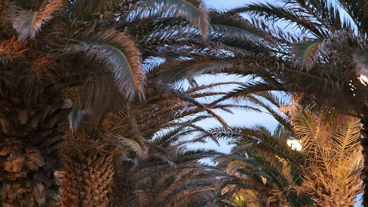 Photo of Outdoor in La Cote Radieuse