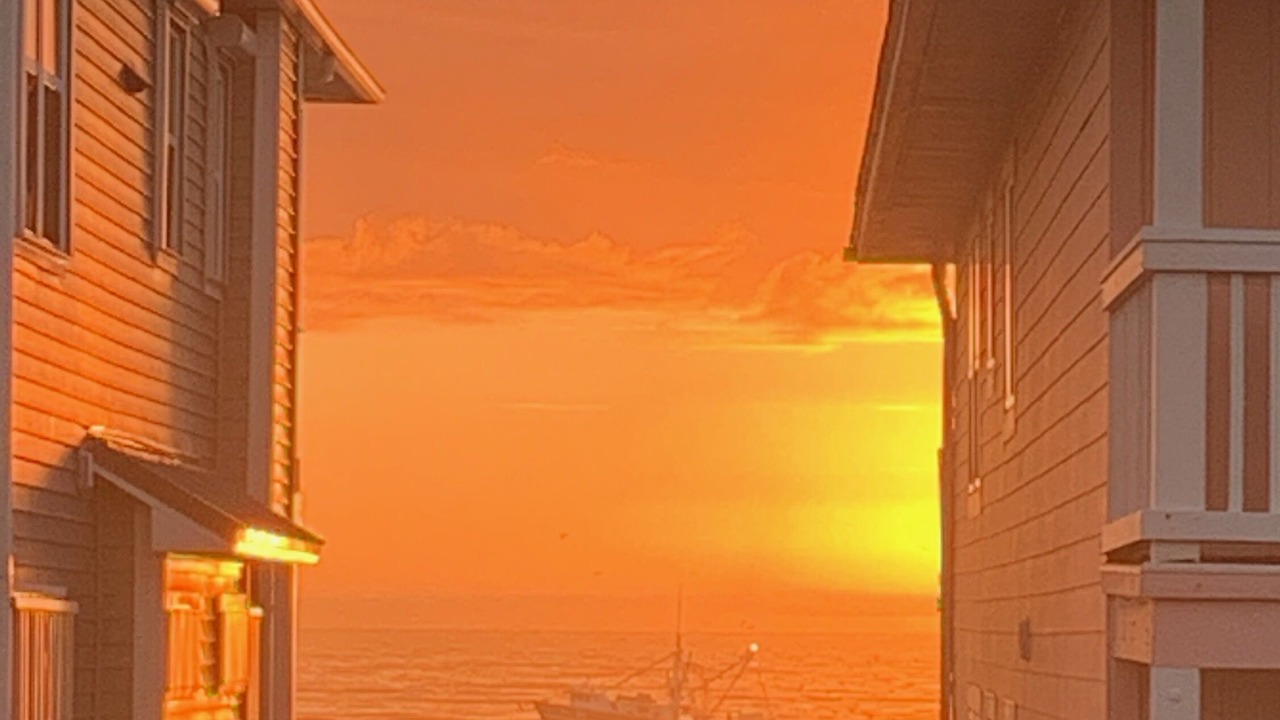 Photo of Others in North Carolina Coast